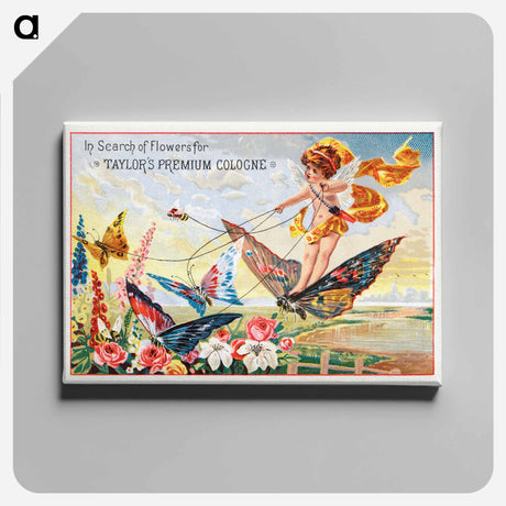 アートパネル-Taylor's Premium Cologne
 - ボストン公共図書館 Canvas.