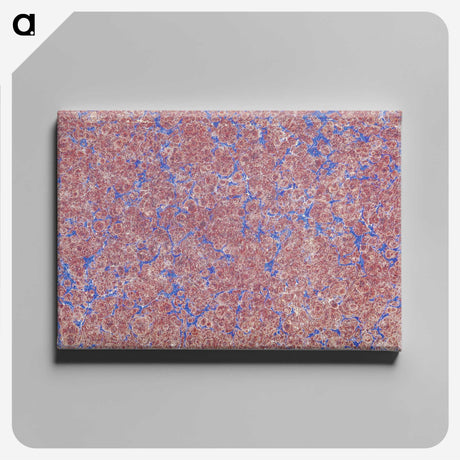2-35_British-Library_canvas