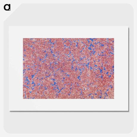 アートポスター-Abstract Pink Pattern
 - 大英図書館 Poster.