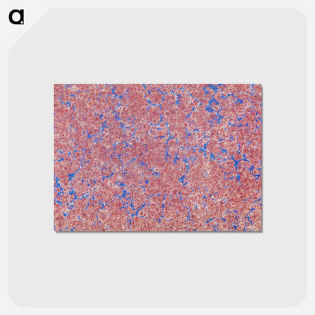 アートポストカード-Abstract Pink Pattern
 - 大英図書館 Postcard.