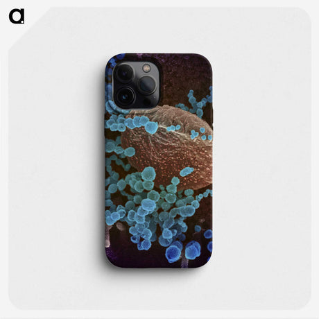 2-35_COVID-19_phone