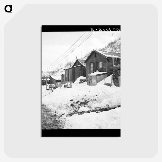 2-35_Dorothea-Lange_postcard