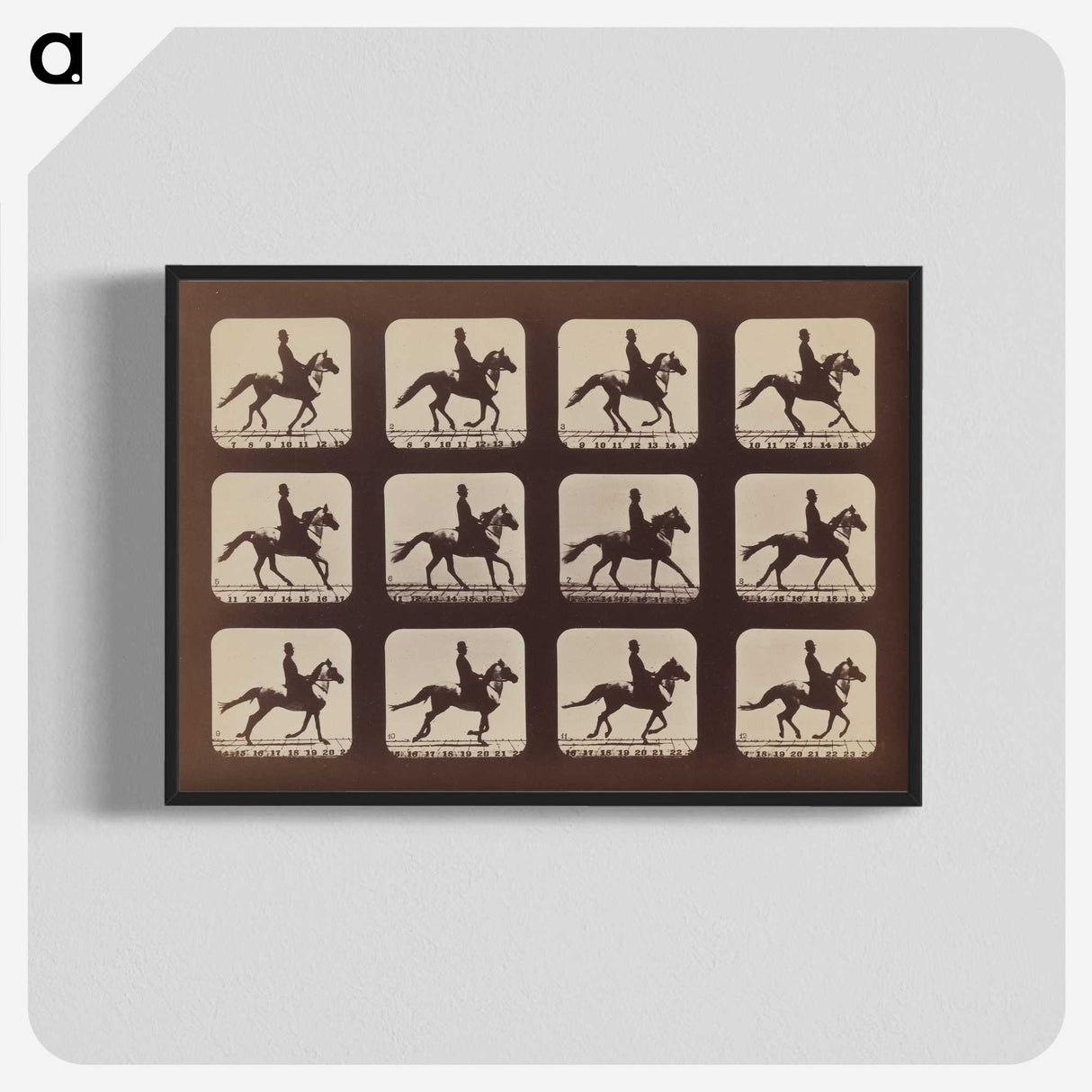 2-35_Eadweard-Muybridge_blk-crop