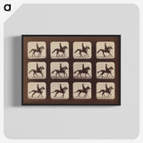 2-35_Eadweard-Muybridge_blk-crop
