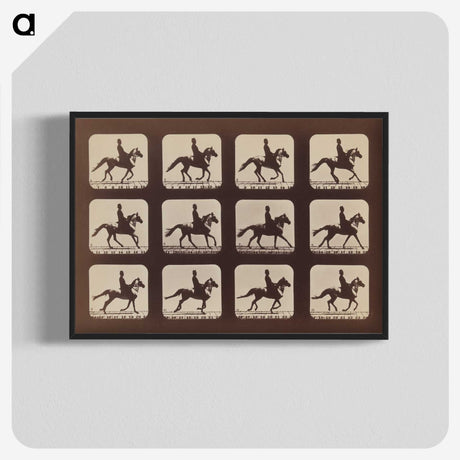 2-35_Eadweard-Muybridge_blk-crop