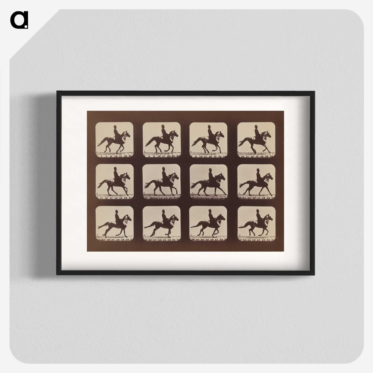 2-35_Eadweard-Muybridge_blk
