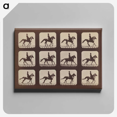 2-35_Eadweard-Muybridge_canvas