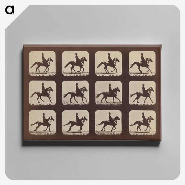 2-35_Eadweard-Muybridge_canvas