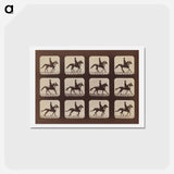 アートポストカード-Attitudes of Animals in Motion
 - エドワード マイブリッジ Postcard.