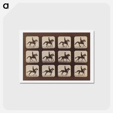 アートポストカード-Attitudes of Animals in Motion
 - エドワード マイブリッジ Postcard.