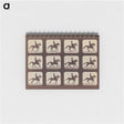 2-35_Eadweard-Muybridge_memo