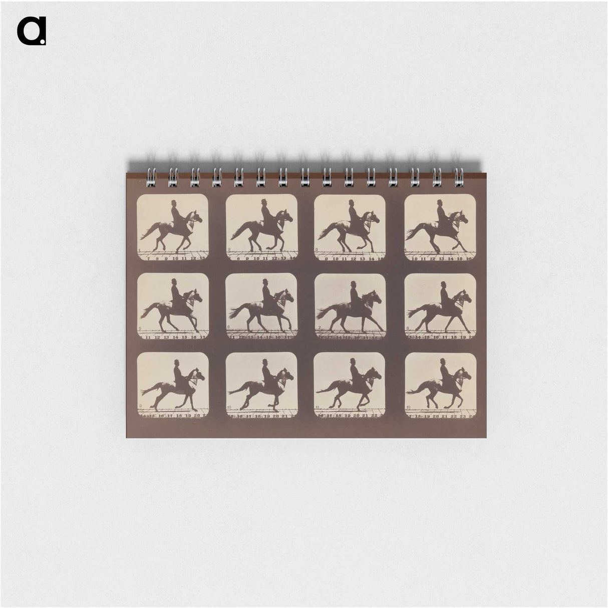 2-35_Eadweard-Muybridge_memo