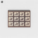 2-35_Eadweard-Muybridge_memo