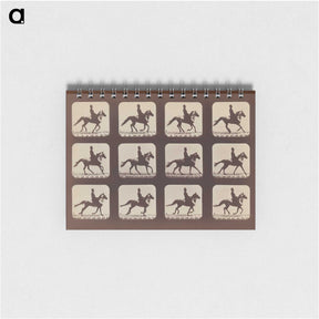 2-35_Eadweard-Muybridge_memo