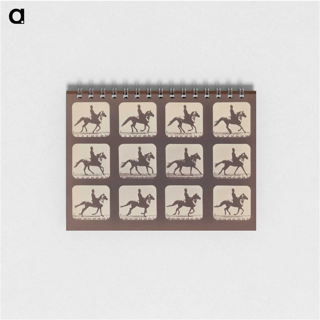 2-35_Eadweard-Muybridge_memo