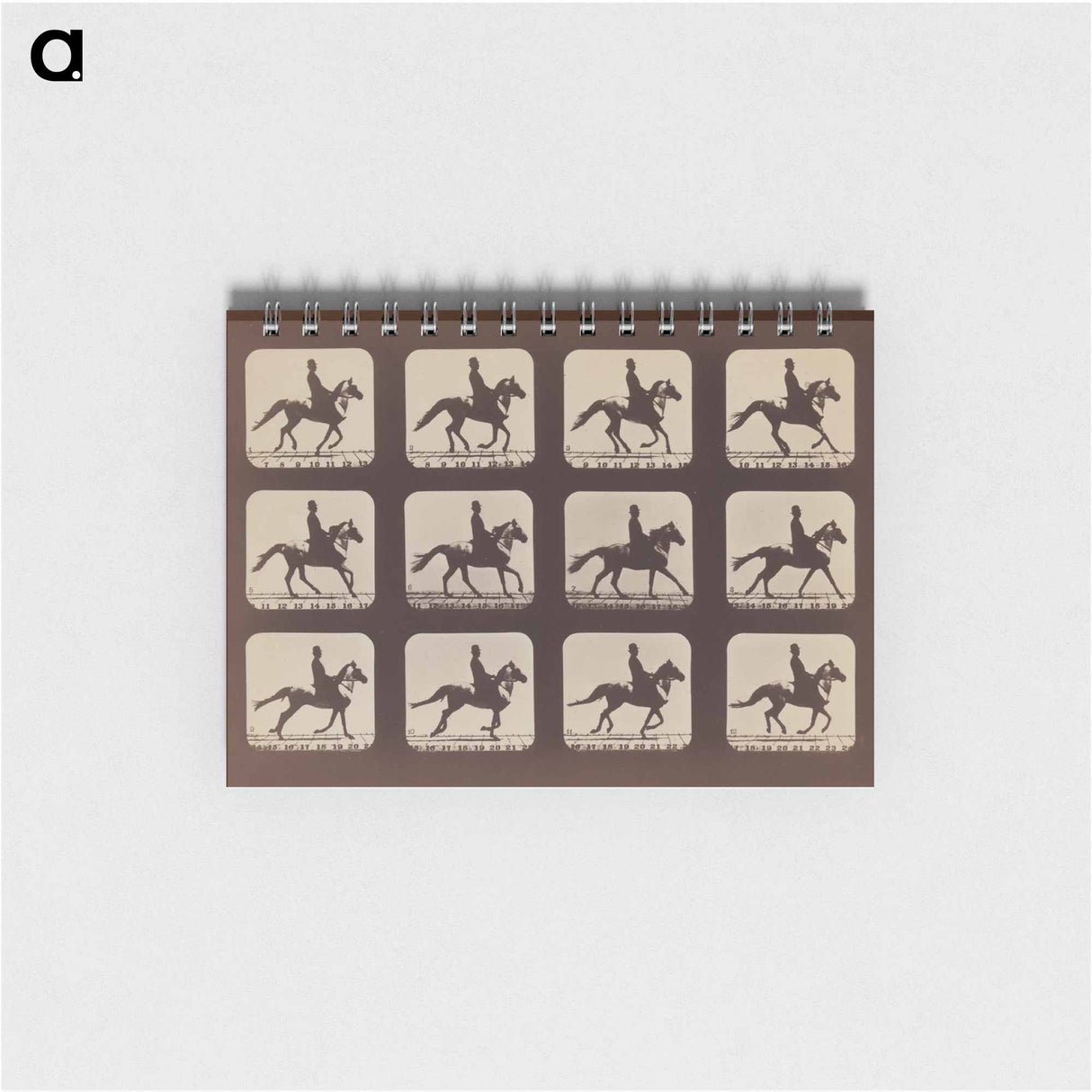 アートメモ帳-Attitudes of Animals in Motion
 - エドワード マイブリッジ Memo.