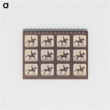 アートメモ帳-Attitudes of Animals in Motion
 - エドワード マイブリッジ Memo.