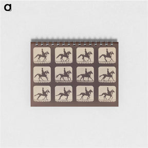 アートメモ帳-Attitudes of Animals in Motion
 - エドワード マイブリッジ Memo.