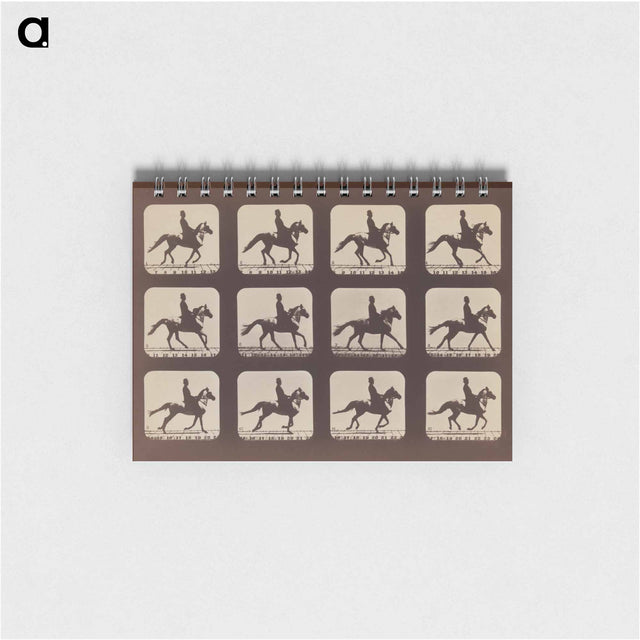 アートメモ帳-Attitudes of Animals in Motion
 - エドワード マイブリッジ Memo.