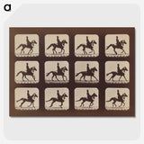 2-35_Eadweard-Muybridge_picture-crop