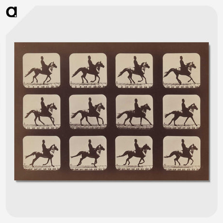 2-35_Eadweard-Muybridge_picture-crop