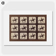 2-35_Eadweard-Muybridge_picture