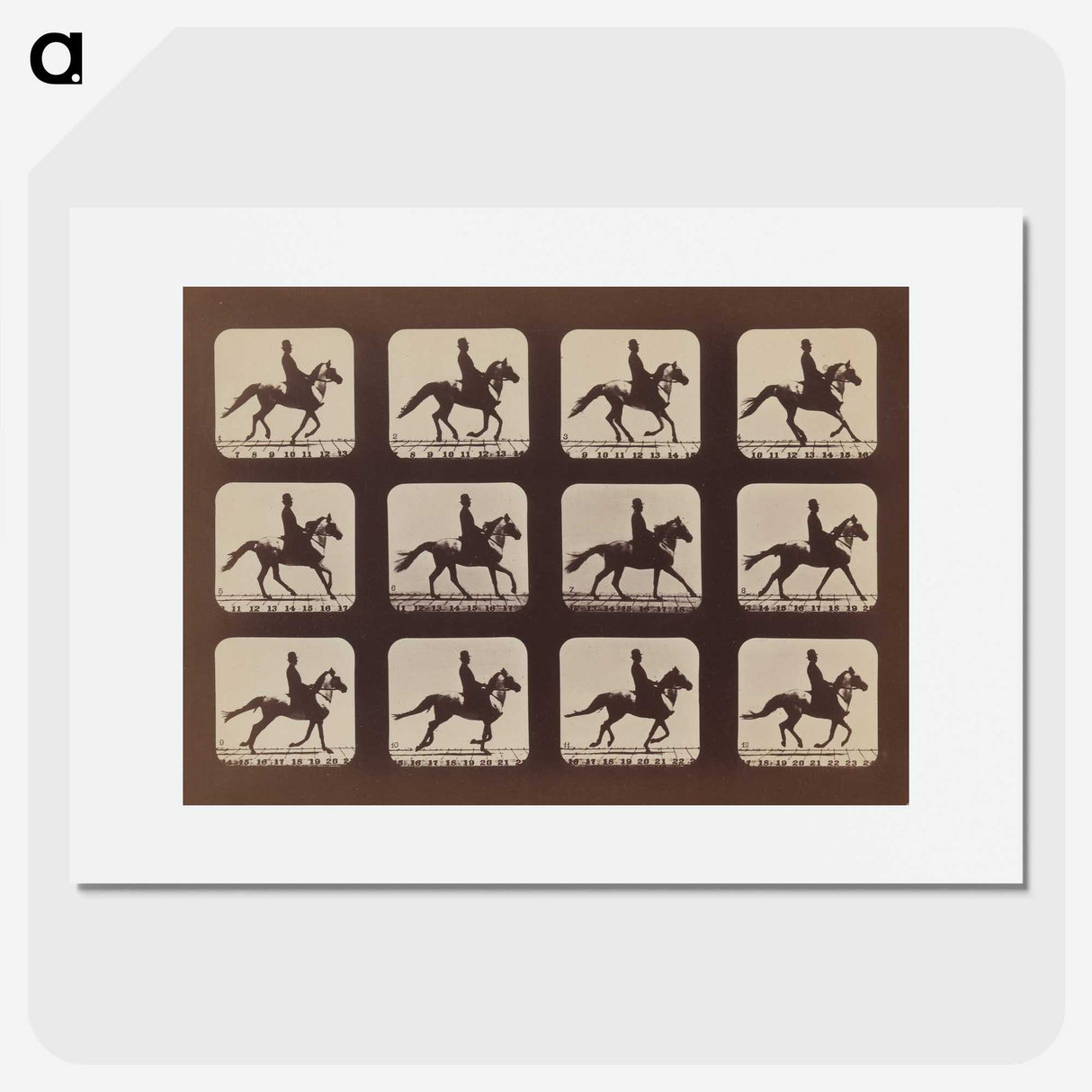 2-35_Eadweard-Muybridge_picture