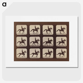 2-35_Eadweard-Muybridge_picture
