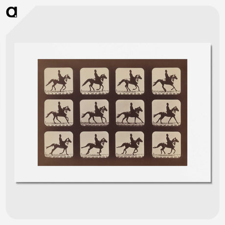 2-35_Eadweard-Muybridge_picture