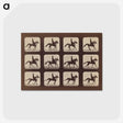 2-35_Eadweard-Muybridge_postcard