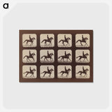 アートポストカード-Attitudes of Animals in Motion
 - エドワード マイブリッジ Postcard.
