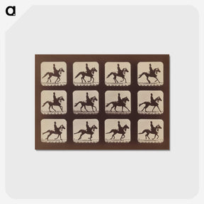 2-35_Eadweard-Muybridge_postcard