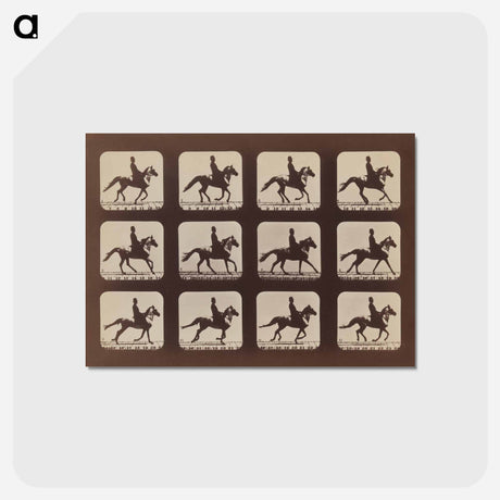 アートポストカード-Attitudes of Animals in Motion
 - エドワード マイブリッジ Postcard.