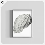 2-35_Ernst-Haeckel_blk-crop