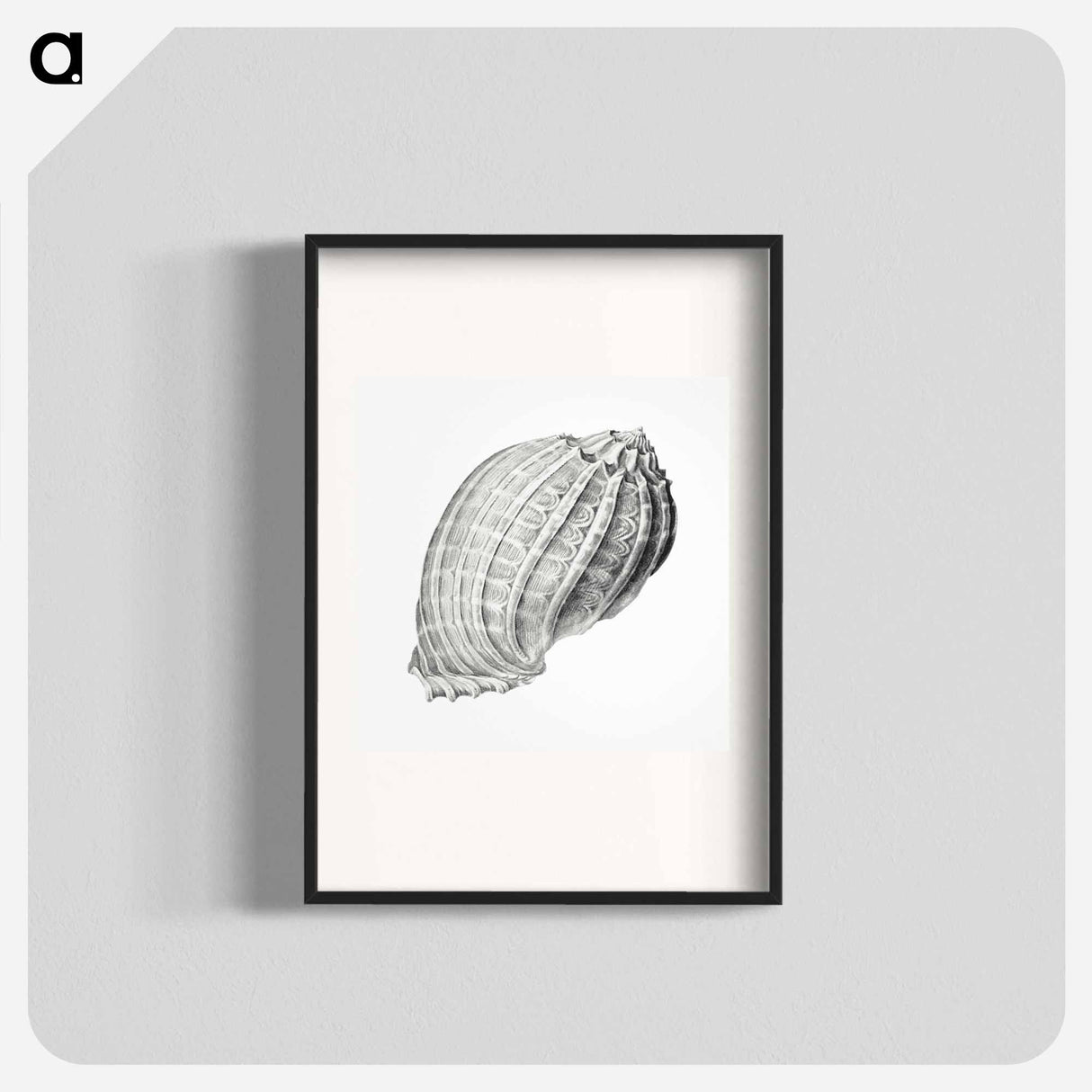 Vintage terrestrial snail illustration - エルンスト ヘッケル Poster.