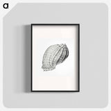 Vintage terrestrial snail illustration - エルンスト ヘッケル Poster.