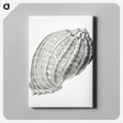 2-35_Ernst-Haeckel_canvas