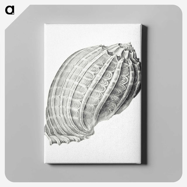2-35_Ernst-Haeckel_canvas