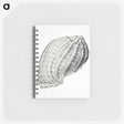 2-35_Ernst-Haeckel_memo