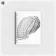アートメモ帳-Vintage terrestrial snail illustration - エルンスト ヘッケル Memo.
