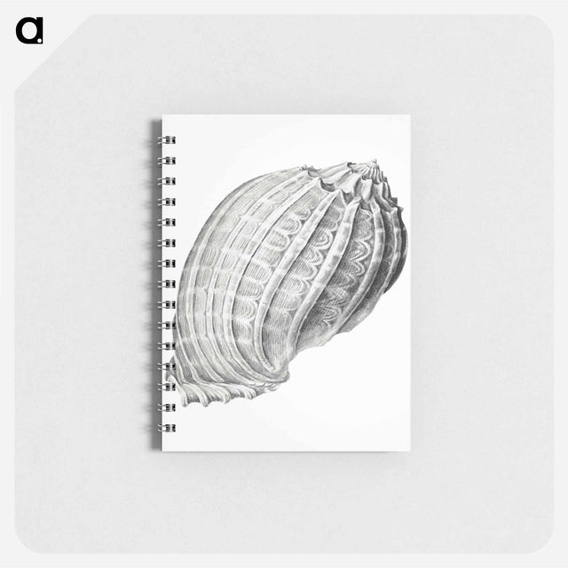 アートメモ帳-Vintage terrestrial snail illustration - エルンスト ヘッケル Memo.