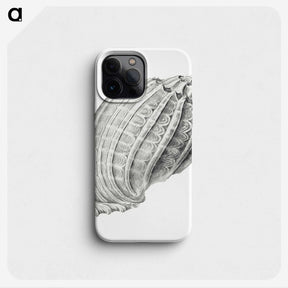 2-35_Ernst-Haeckel_phone