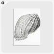 2-35_Ernst-Haeckel_postcard
