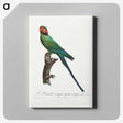 2-35_Francois-Levaillant_canvas