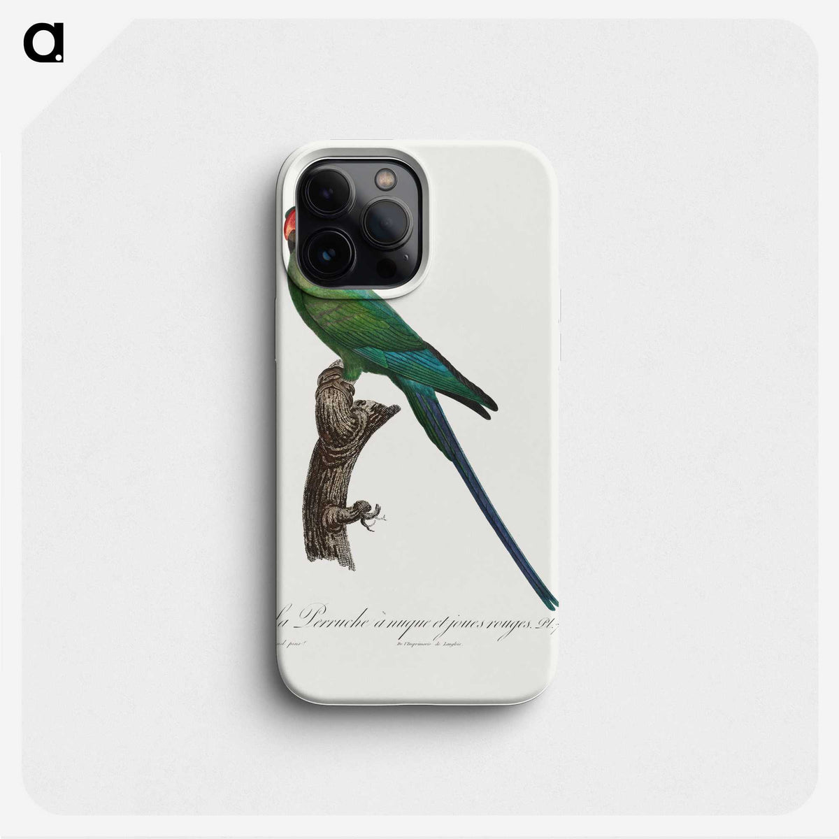2-35_Francois-Levaillant_phone