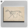 2-35_George-Stubbs_canvas