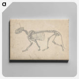 2-35_George-Stubbs_canvas