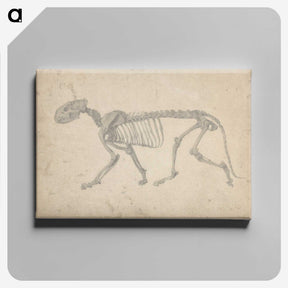 2-35_George-Stubbs_canvas