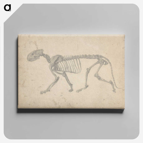2-35_George-Stubbs_canvas