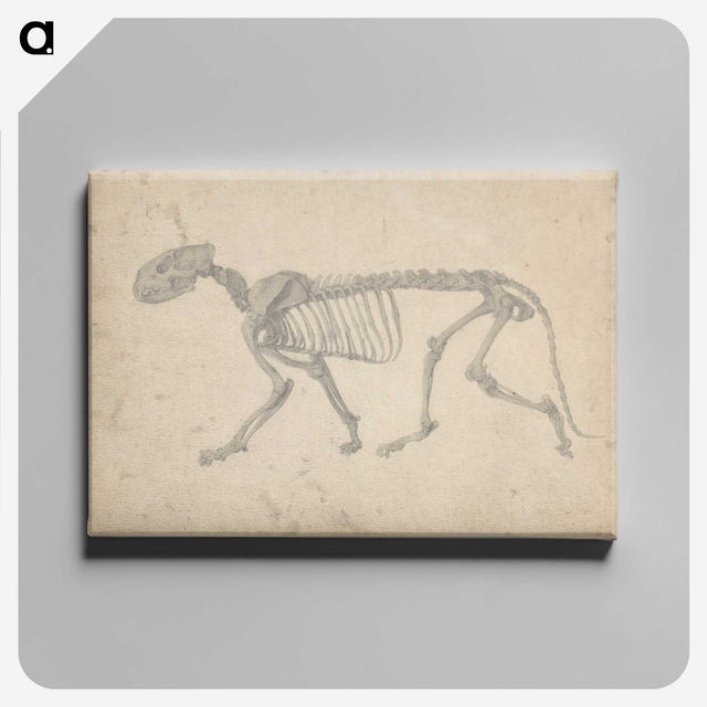 2-35_George-Stubbs_canvas